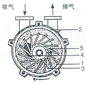 2BV型水环式真空泵及压缩机工作原理图