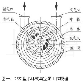 2SK型水环式真空泵工作原理